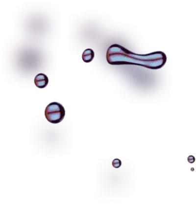 PEMEX - Maximize Your Returns with Oil Profit It is Time to Make Your Trade